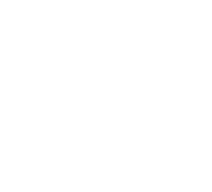 Valhalla Martial Arts crest